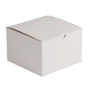 ONE PIECE WHITE GIFT BOX