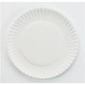 9" PAPER PLATES