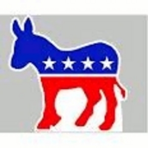 DEMOCRATIC DONKEY STANDUP