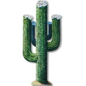 JOINTED CACTUS