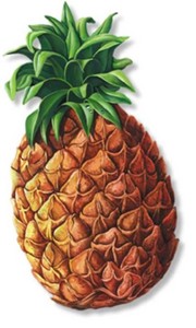 PINEAPPLE CUTOUT