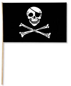 11"X17" PLASTIC PIRATE FLAG