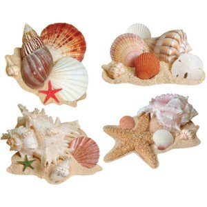 SEASHELL CUTOUTS